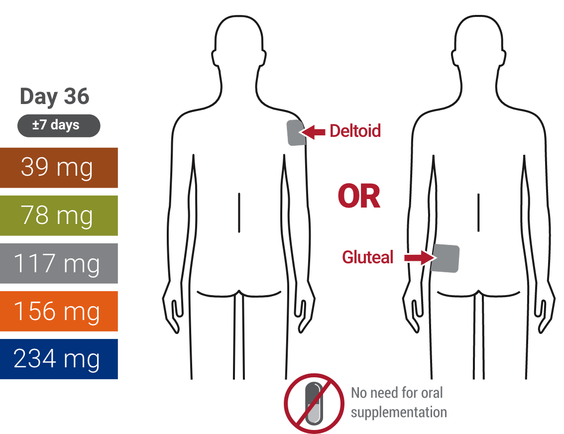 An illustration showing the dosage for day 36 with no oral supplements needed 